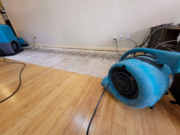 Professional Basement Flood Cleanup technician working in Hamilton, IN